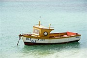 32_Aruba