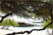 36_Aruba