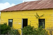 50_Aruba