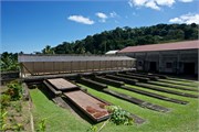 51_Grenada