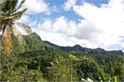19_StLucia