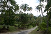67_StLucia
