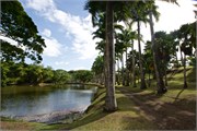 10_Martinique