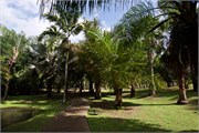 14_Martinique