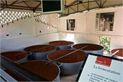 24_Martinique