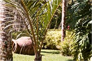 63_Martinique