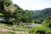 66_Martinique