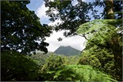 68_Martinique