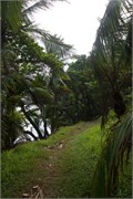 17_DevilsIsland