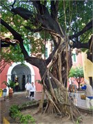 33_Fortaleza