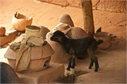 d138_Togo