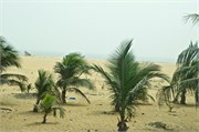 d182_Togo