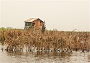 b55_Benin