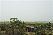 d184_Benin