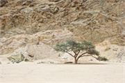 b89_WalvisBay-Namibia