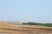 d139_WalvisBay-Namibia