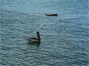 19_13_Bonaire