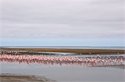 41_6_WalvisBay-Namibia
