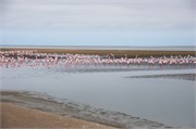 44_10_WalvisBay-Namibia