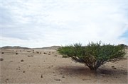 48_71_WalvisBay-Namibia