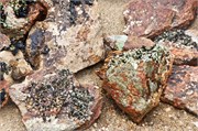 51_82_WalvisBay-Namibia