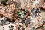 52_83_WalvisBay-Namibia