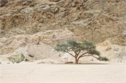 53_89_WalvisBay-Namibia