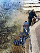 22_16_Bonaire