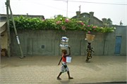 86_49_Togo
