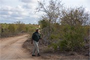 17_Motswari-us