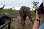 20_Motswari-us