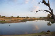 15_Motswari-646