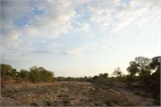 17_Motswari-646