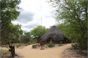 18_Motswari-646