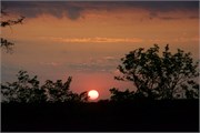 27_Motswari-646