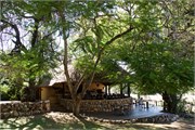 29_Motswari-646