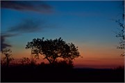 31_Motswari-646