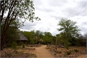 33_Motswari-646