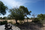 39_Motswari-646