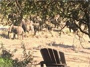 50_Motswari-646