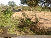 51_Motswari-646