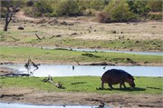 21_Motswari-650