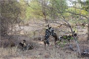 101_Motswari-651