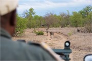 104_Motswari-651