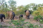144_Motswari-652