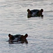 16_Motswari-652
