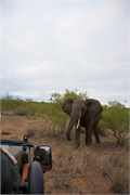 26_Motswari-652
