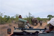 49_Motswari-652