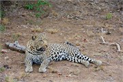 67_Motswari-652