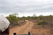 83_Motswari-652